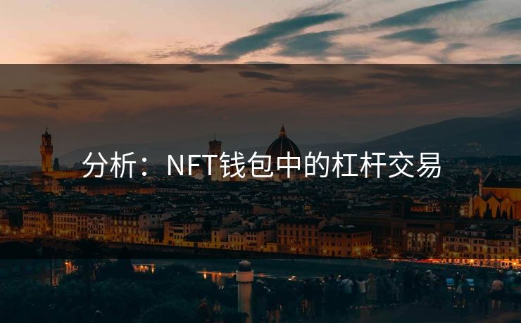 分析：NFT钱包中的杠杆交易