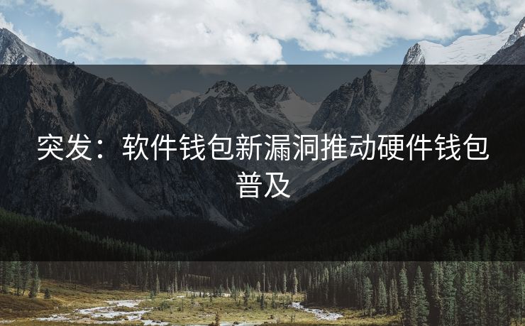 突发：软件钱包新漏洞推动硬件钱包普及