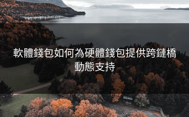 軟體錢包如何為硬體錢包提供跨鏈橋動態支持