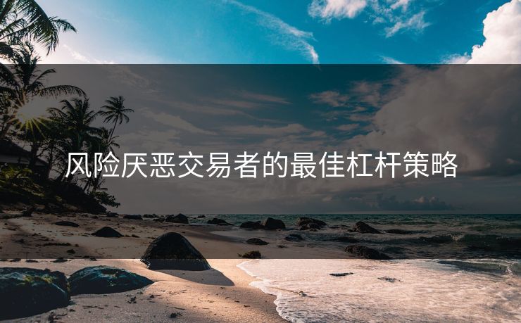 风险厌恶交易者的最佳杠杆策略